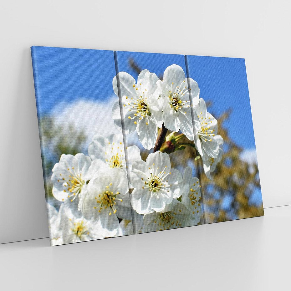 Obraz na płótnie 120x80 - Kwiatowa harmonia natury - kwiat, kwiaty