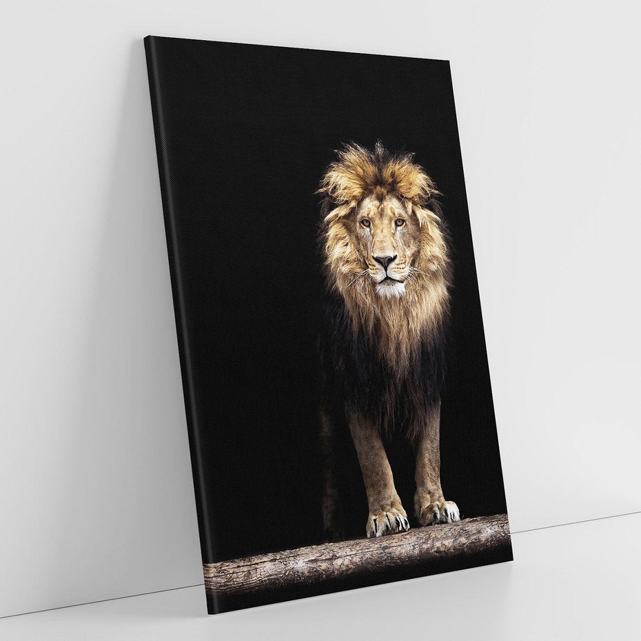 Obraz na płótnie 80x120 - Lew: dzikie piękno natury - lew, dzikie