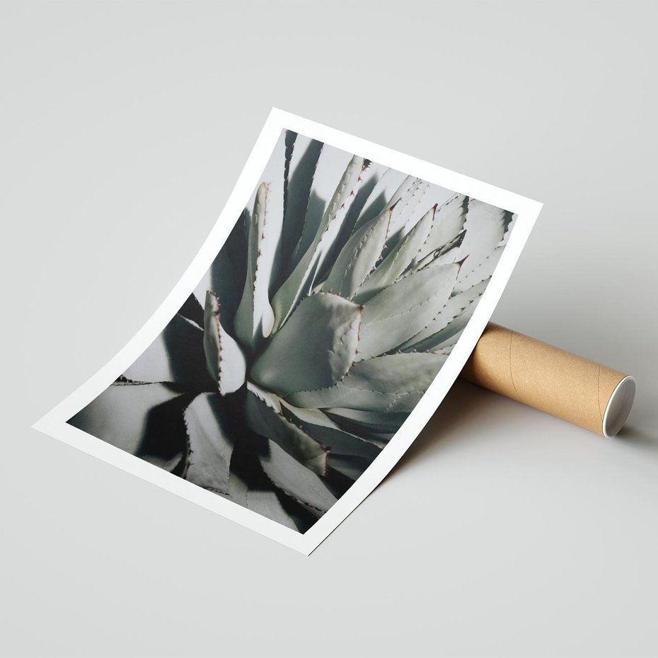 Plakat bez ramy 30x40 - Egzotyczny Raj - sukulenty, kaktusy