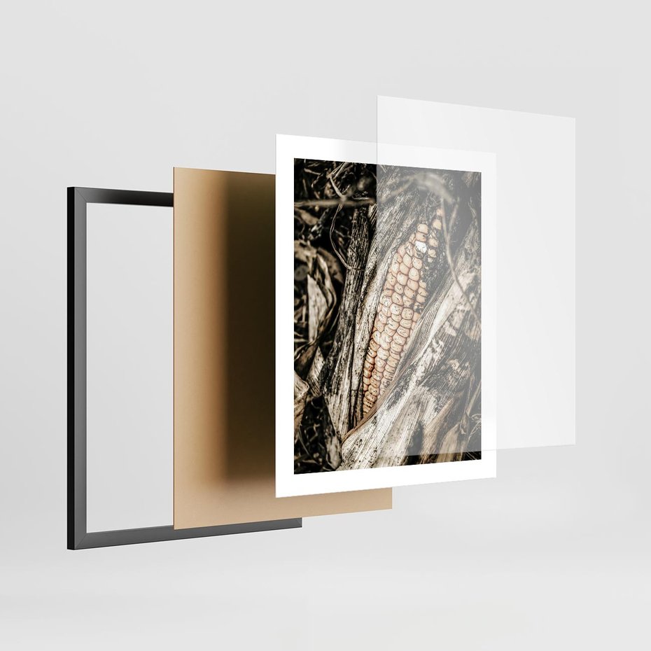 Plakat w ramie 40x50 - Kukurydza w Jesiennej Scenie - kukurydza, jesień - rama czarna