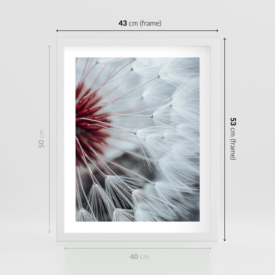 Plakat w ramie 40x50 - Makro świat dmuchawca - dmuchawiec, makro - rama biała