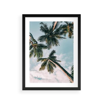 Plakat w ramie 50x70 - Wzrok ku Niebu - palmy na tle nieba, ujęcie z dołu - rama czarna