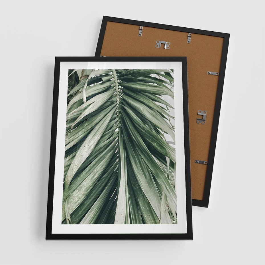 Plakat w ramie 50x70 - Spokojna Piękność Palmowych Liści - palma, liście palmy - rama czarna