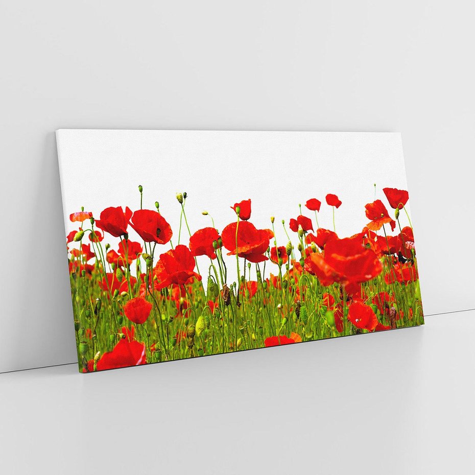 Obraz na płótnie 120x60 - Bujne maki na malowniczej łące - mak, maki