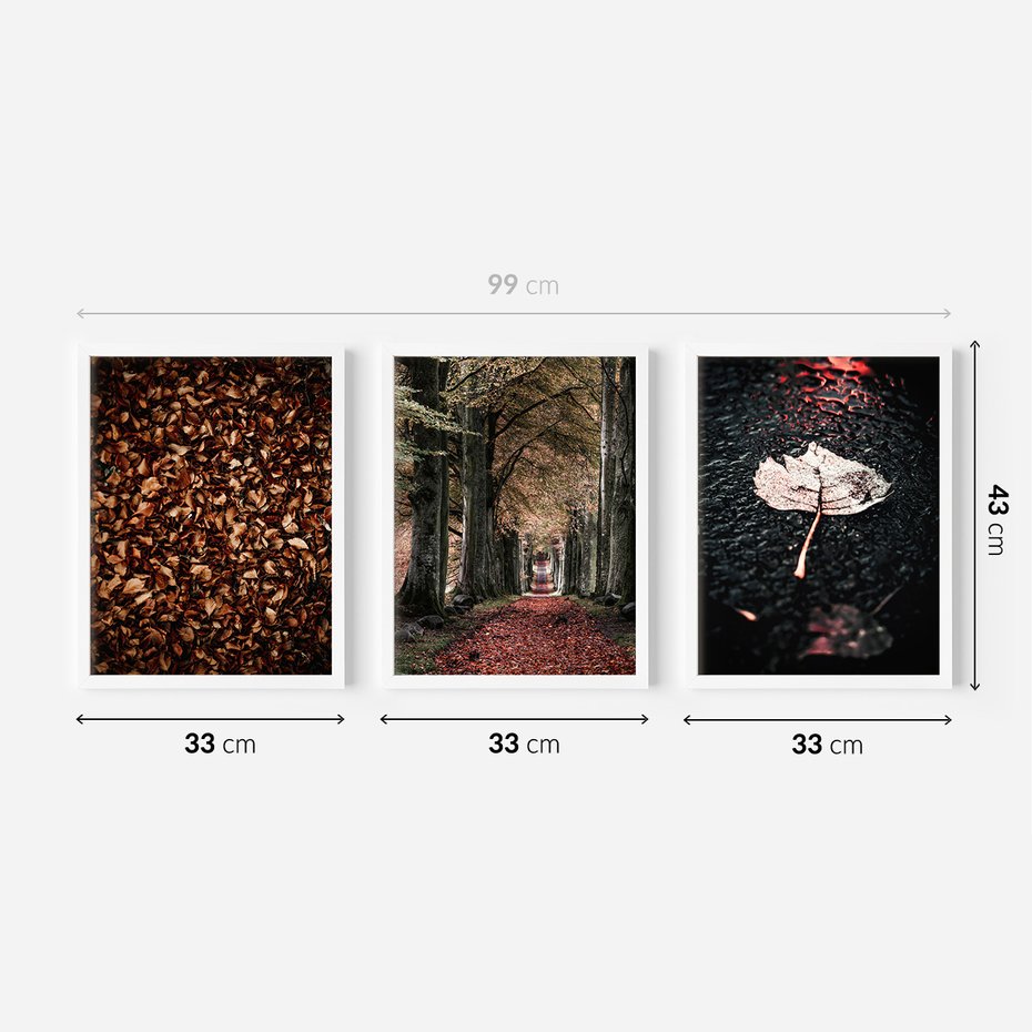 Zestaw obrazy w ramie 30x40 galeria - Jesień, ścieżka, klimatyczna - rama biała