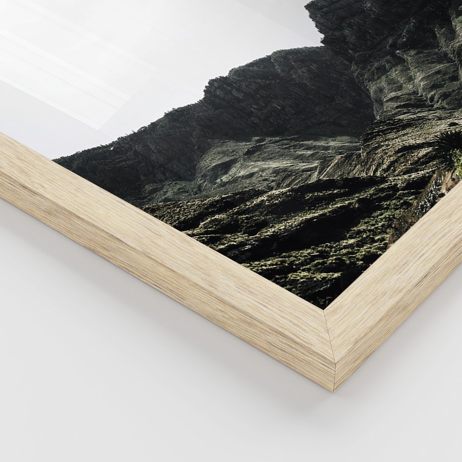 Zestaw obrazy w ramie 40x50 galeria - Pustynia, kaktusy, zieleń, boho - rama drewno