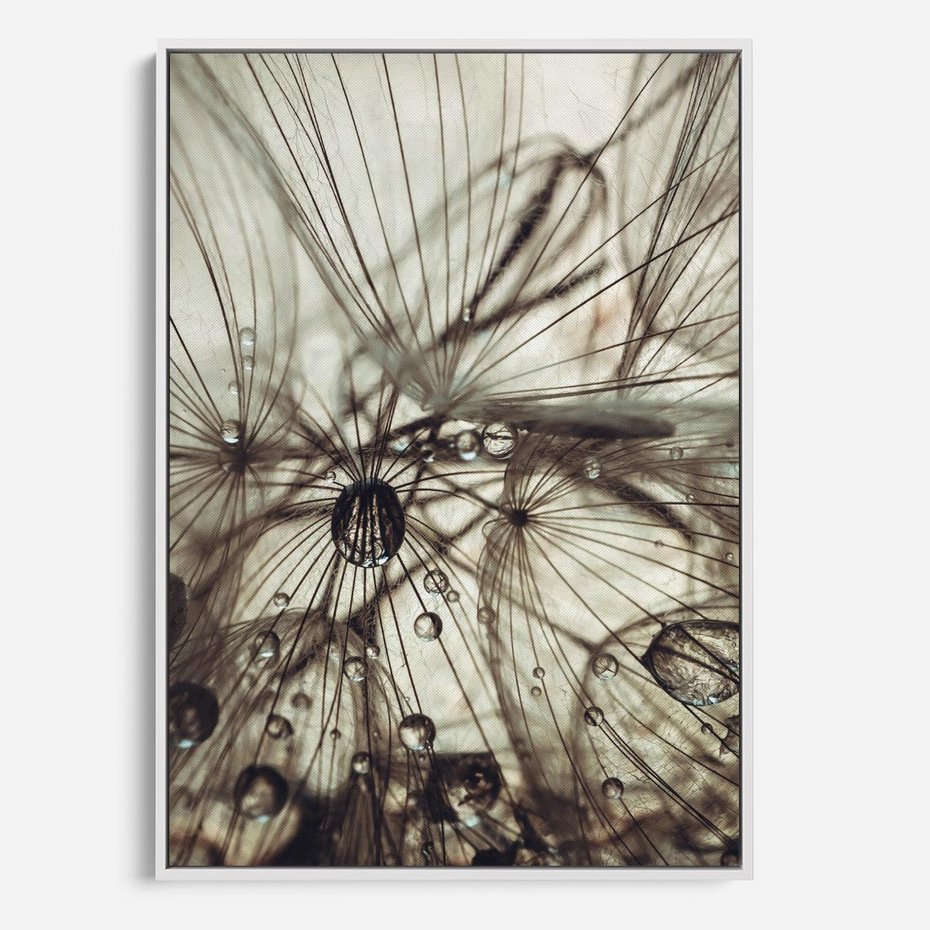 Obraz w ramie 70x100 - Lekkie dmuchawce - dmuchawce, krople - rama biała