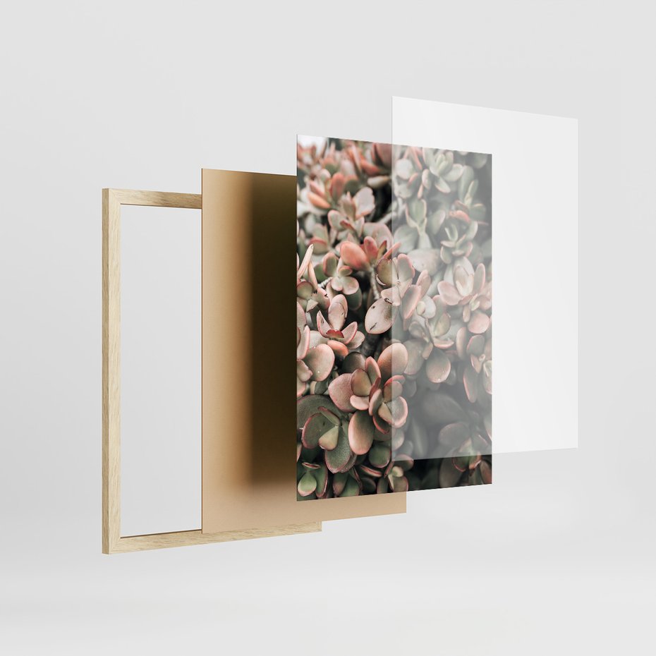 Zestaw obrazy w ramie 40x50 galeria - Rośliny, liście, kaktusy - rama drewno