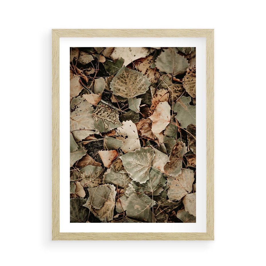 Plakat w ramie 50x70 - Magia Jesiennych Liści - liście, suche liście - rama drewno