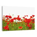 Obraz na płótnie 120x80 - Bujne maki na malowniczej łące - mak, maki