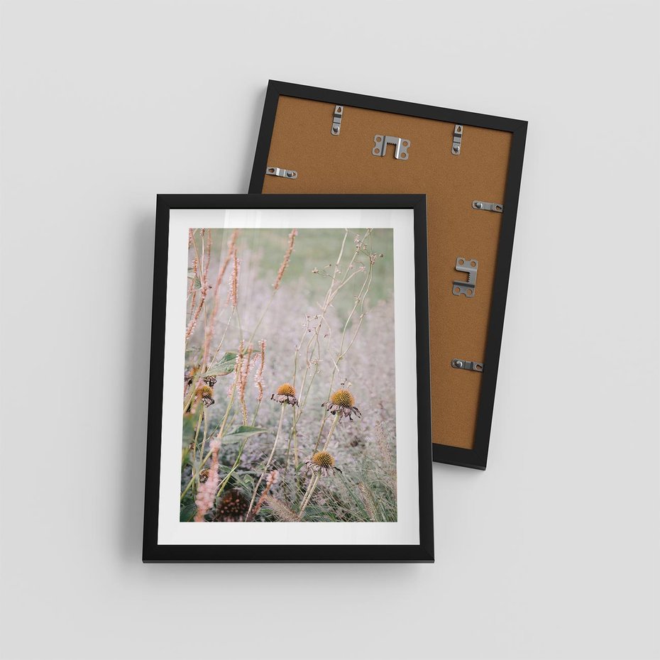 Plakat w ramie 30x40 - Przyroda w Pełnym Blasku: Kolorowa łąka z Kwiatami - łąka, kwiaty na łące - rama czarna