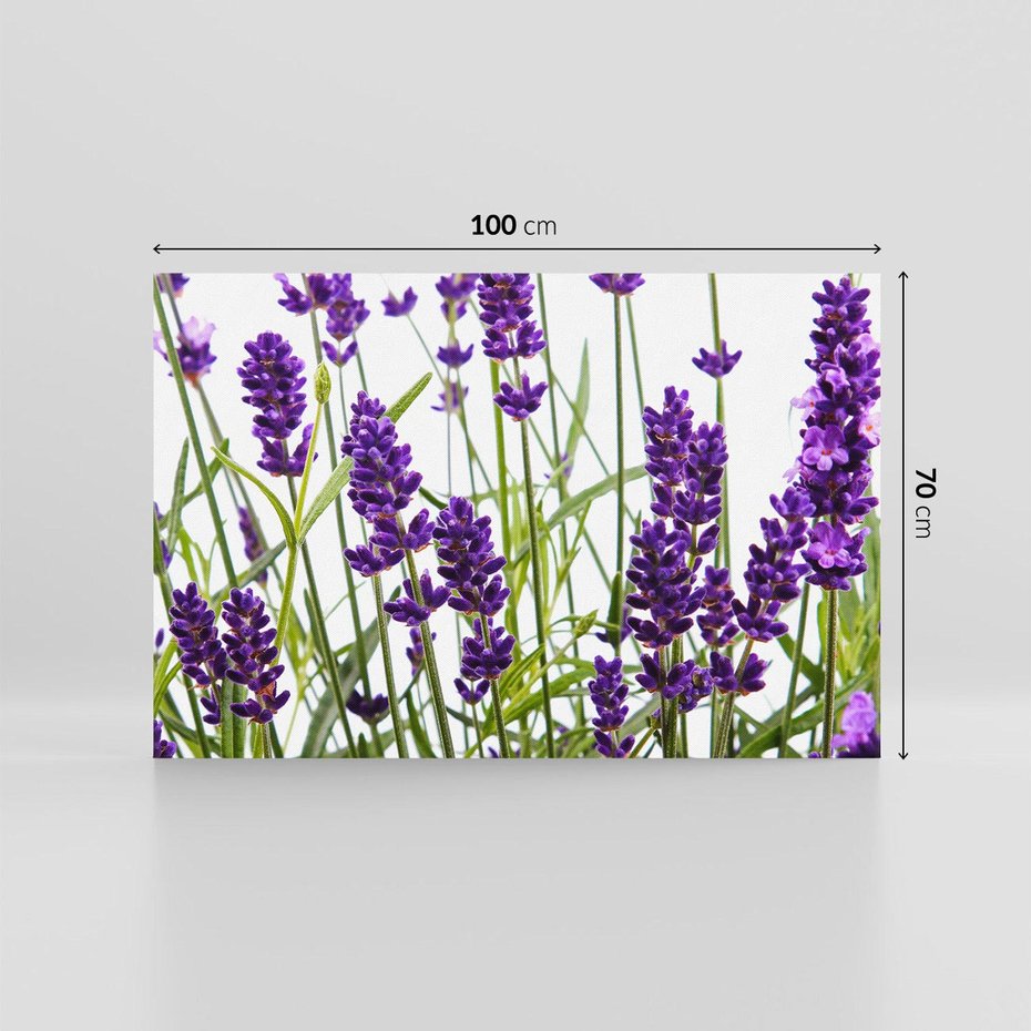 Obraz na płótnie 100x70 - Fioletowa harmonia lawendy - lawenda, fiolet