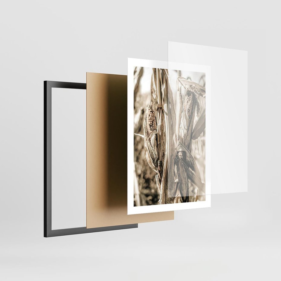Plakat w ramie 50x70 - Retro Pole Kukurydzy - retro zdjęcie, sepia - rama czarna