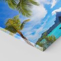 Obraz na płótnie 30x30 - Tropikalne palmy nad oceanem - palmy, ocean