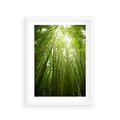 Plakat w ramie 30x40 - Siła Natury - drzewa, las - rama biała