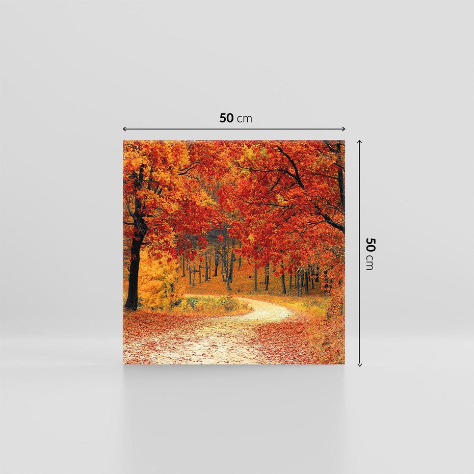 Obraz na płótnie 50x50 - Jesienna melodia lasu - jesień, las