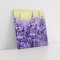 Obraz na płótnie 50x50 - Magia lawendy delikatne kwiaty - lawenda, kwiat