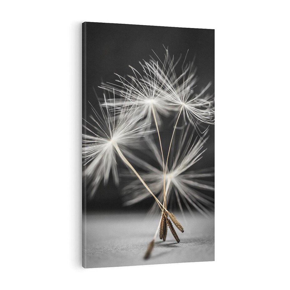 Obraz na płótnie 50x70 - Delikatność dmuchawców zbliżenie - dmuchawce, zbliżenie