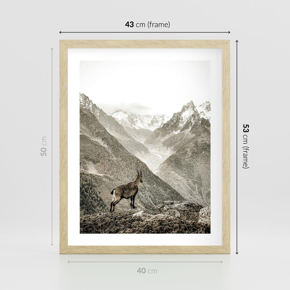 Plakat w ramie 40x50 - Dzikie Piękno: Kozica w Malowniczym Górskim Scenerii - kozica, góry - rama drewno