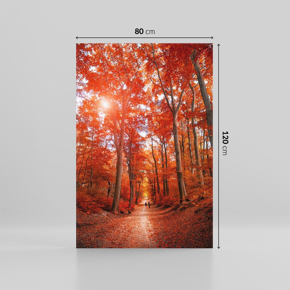 Obraz na płótnie 80x120 - Magia jesiennego lasu - las, jesień