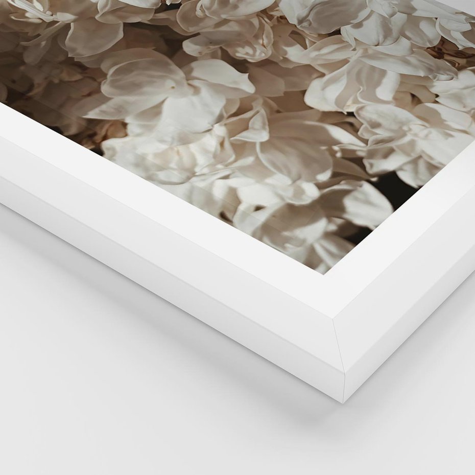 Plakat w ramie 40x50 - Płatki w Detalu - białe kwiaty, zbliżenie - rama biała