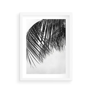 Plakat w ramie 30x40 - Czarno-Biały Kontrast - czarno białe zdjecie, palma - rama biała