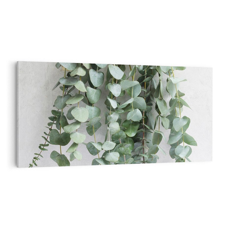 Obraz na płótnie 100x50 - Uwodzicielska zieleń eukaliptusa - eukaliptus, zielone