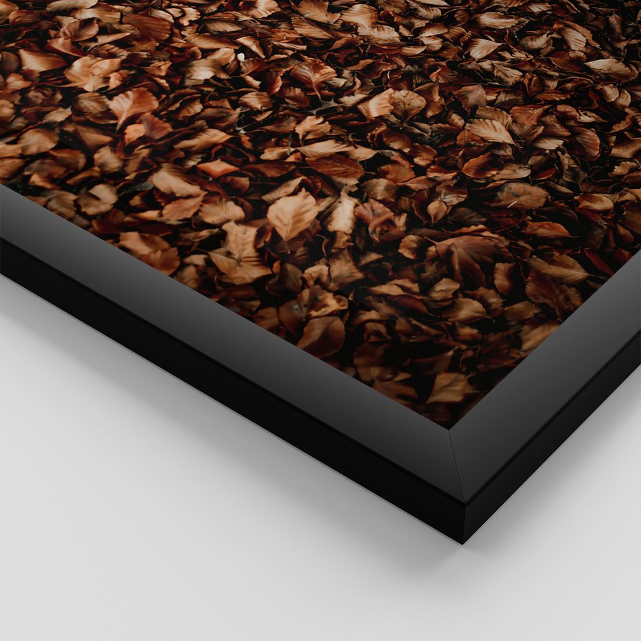 Zestaw obrazy w ramie 30x40 galeria - Jesień, ścieżka, klimatyczna - rama czarna