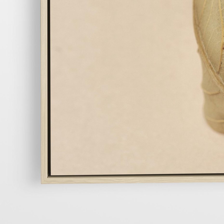 Obraz w ramie 80x80 - Boho suszone liście - suszony, liść - rama drewno