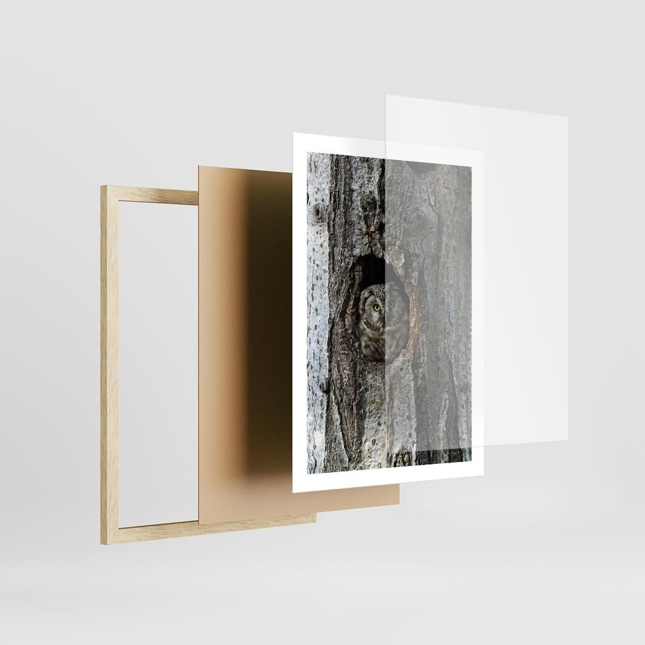 Plakat w ramie 50x70 - Tajemniczy W świecie Nocy - sowa, dziupla - rama drewno