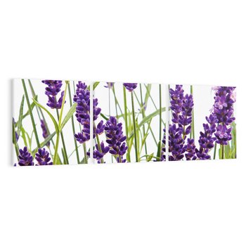 Obraz na płótnie 120x40 - Fioletowa harmonia lawendy - lawenda, fiolet