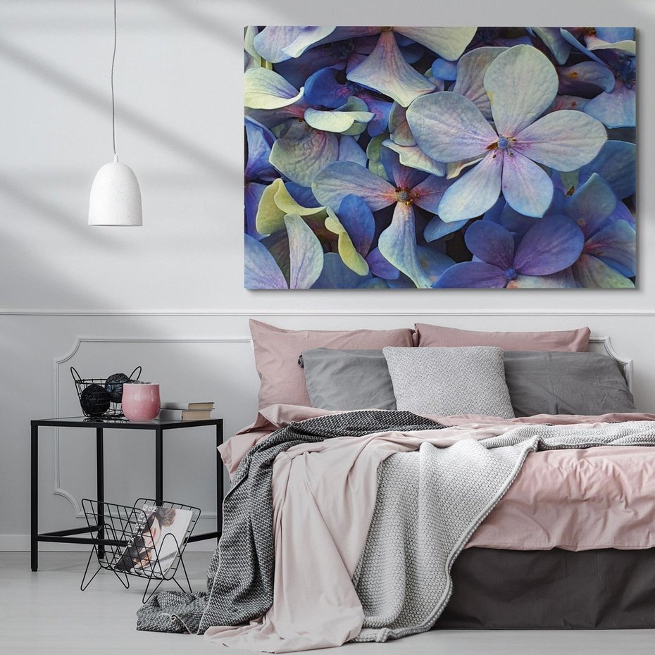 Obraz na płótnie 70x50 - Hortensja - delikatność kwiatów - hortensja, kwiaty