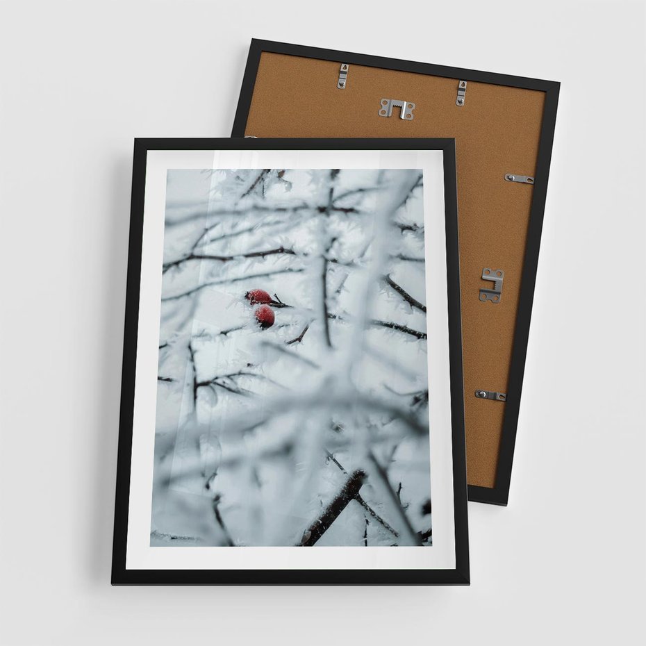 Plakat w ramie 50x70 - Zima w Detalu: Gałęzie ze Szronem i Śniegiem - śnieg, zima - rama czarna