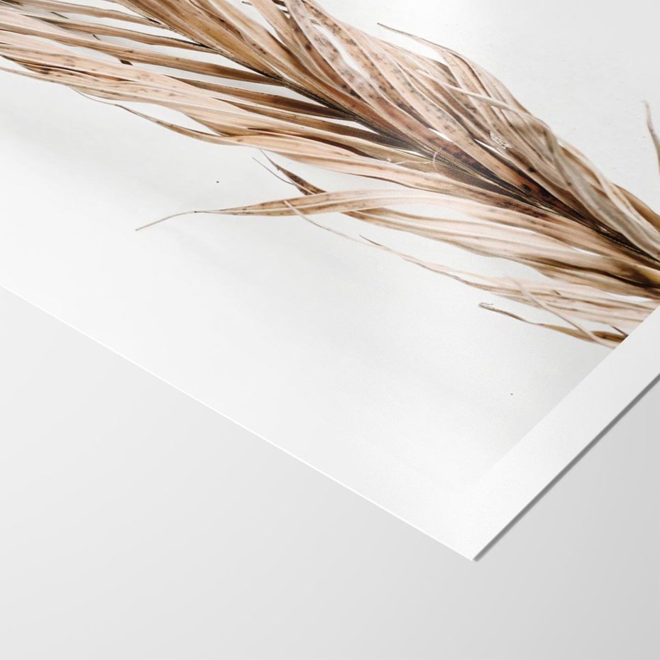 Plakat bez ramy 30x40 - Minimalizm Palmowy: Sucha Uroda - sucha palma, minimalizm