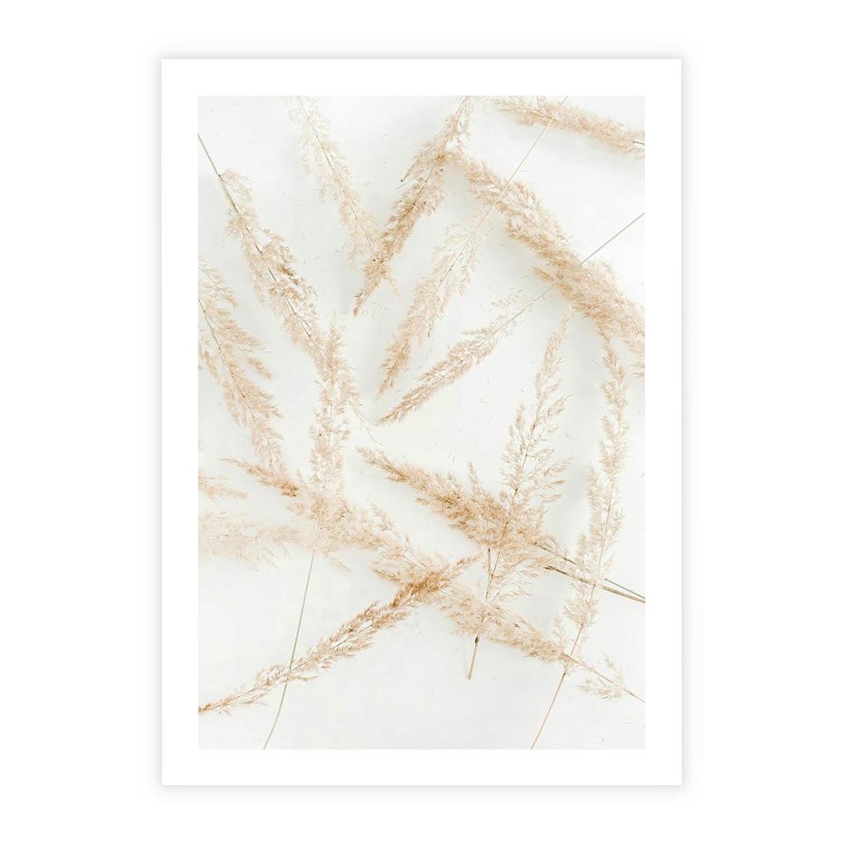 Plakat bez ramy 30x40 - Pampas w Stylu Boho: Kompozycja Natury - suche trawy, pampas
