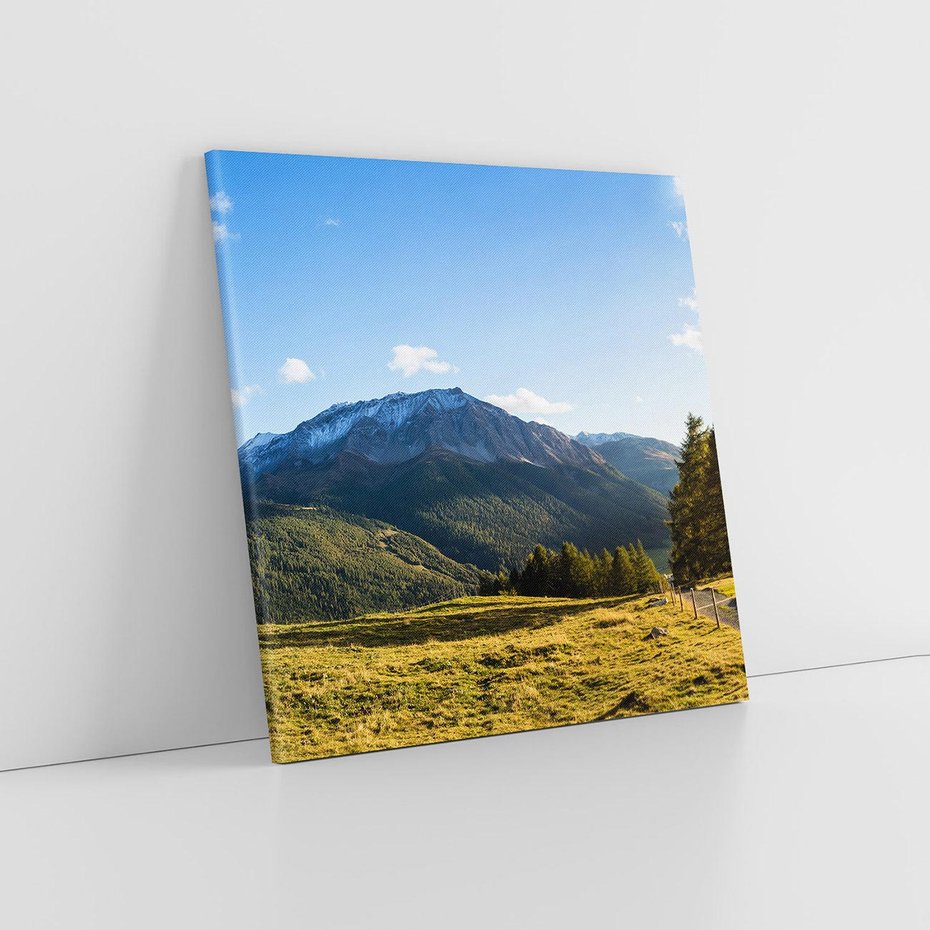 Obraz na płótnie 60x60 - Górski pejzaż: łąka i szczyty - góry, łąka