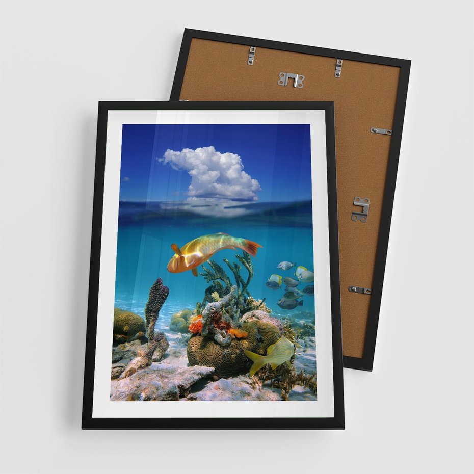 Plakat w ramie 50x70 - Podwodna rafa koralowa: kolorowy oceanowy świat - rafa, koralowa - rama czarna