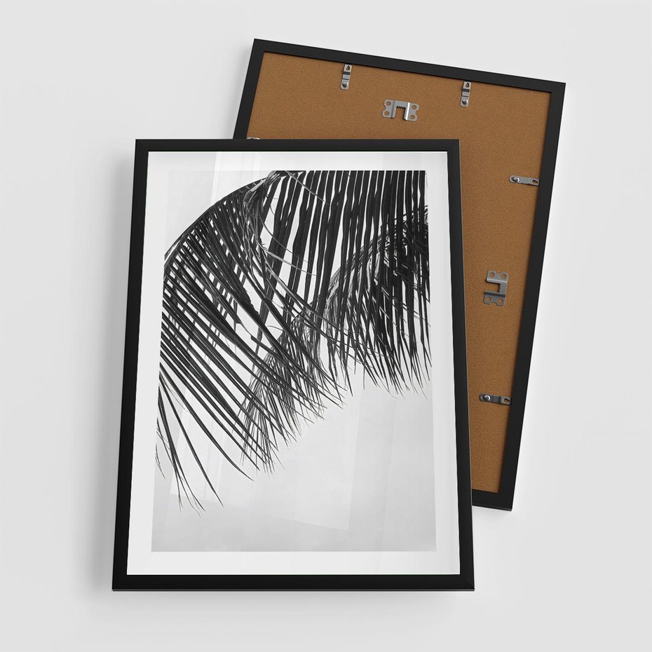 Plakat w ramie 50x70 - Czarno-Biały Kontrast - czarno białe zdjecie, palma - rama czarna