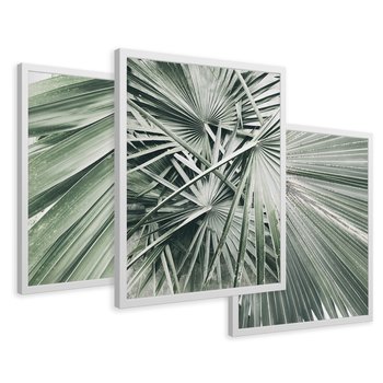 Zestaw obrazy w ramie 40x50 galeria - Palmy, liście, zielone - rama biała