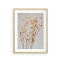 Plakat w ramie 30x40 - Delikatne gipsówki - gipsówka, suche - rama drewno
