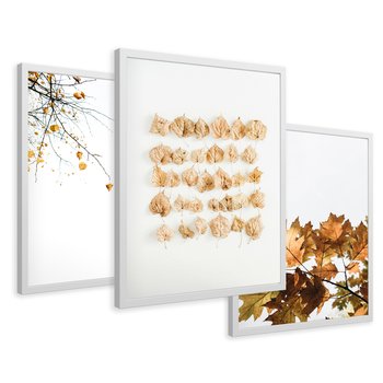 Zestaw obrazy w ramie 40x50 galeria - Liście, jesień, kompozycja - rama biała