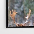 Obraz w ramie 100x70 - Monarcha Zimowej Dziczy - jeleń, zima - rama czarna