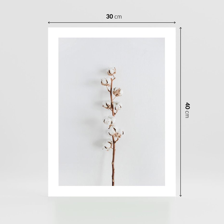 Plakat bez ramy 30x40 - Minimalistyczna Gałązka Bawełny - bawełna, gałązka bawełny