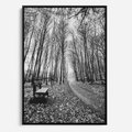 Obraz w ramie 70x100 - Spadające Liście - czarno białe zdjecie, park - rama czarna