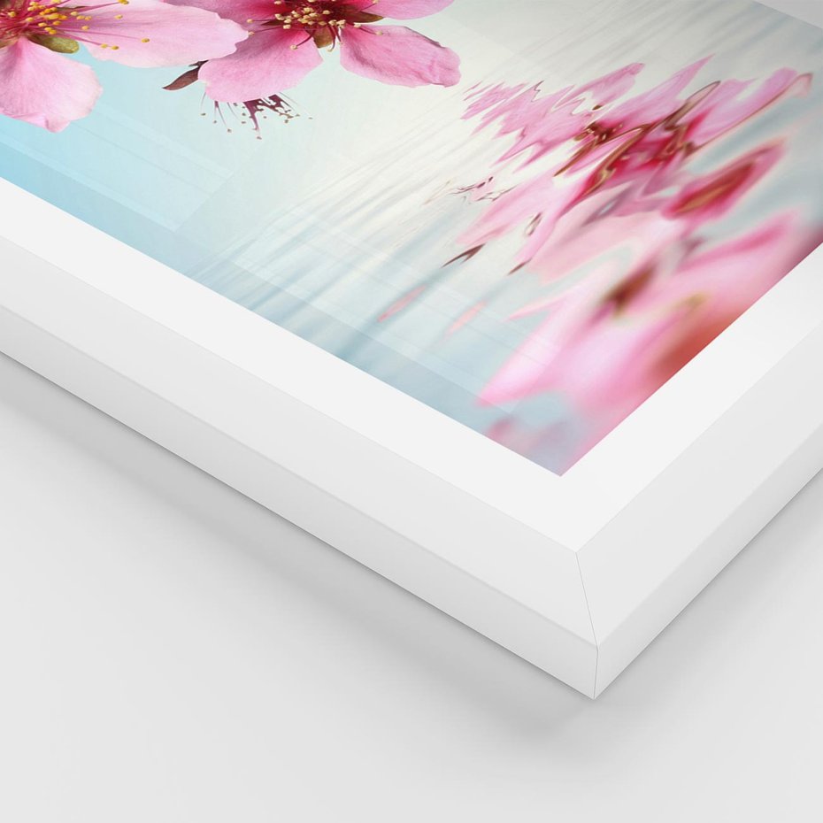 Plakat w ramie 30x40 - Magia kwitnącej wiśni - kwitnąca, wiśnia - rama biała