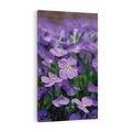 Obraz na płótnie 80x120 - Kwiatowe uniesienia magia natury - kwiat, kwiaty