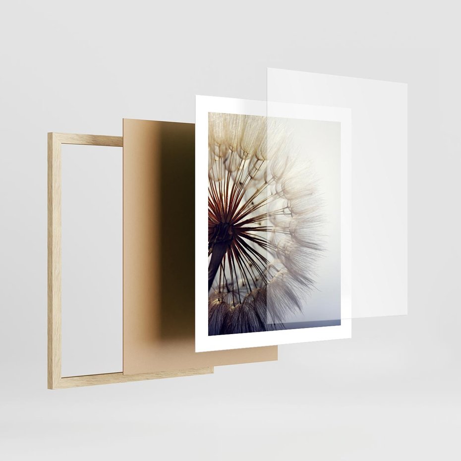 Plakat w ramie 40x50 - Makro piękno dmuchawca - makro, dmuchawiec - rama drewno