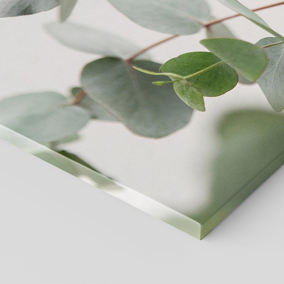 Obraz na płótnie 120x80 - Liście eukaliptusa w naturze - eukaliptus, liście