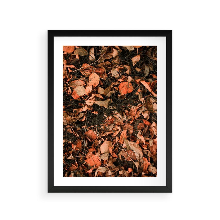 Plakat w ramie 30x40 - Jesienny Splot: Pomarańczowe Liście - liście, pomarańczowe suche liście - rama czarna