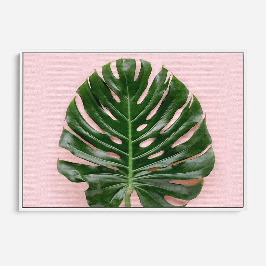 Obraz w ramie 70x50 - Egzotyczna Roślinność - liście, monstera - rama biała